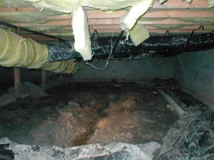 wet crawlspace inspection